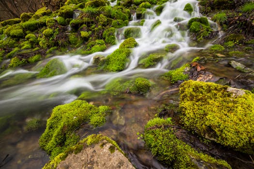 When the Air Gets Thick: Understanding the Unseen Force of High Humidity