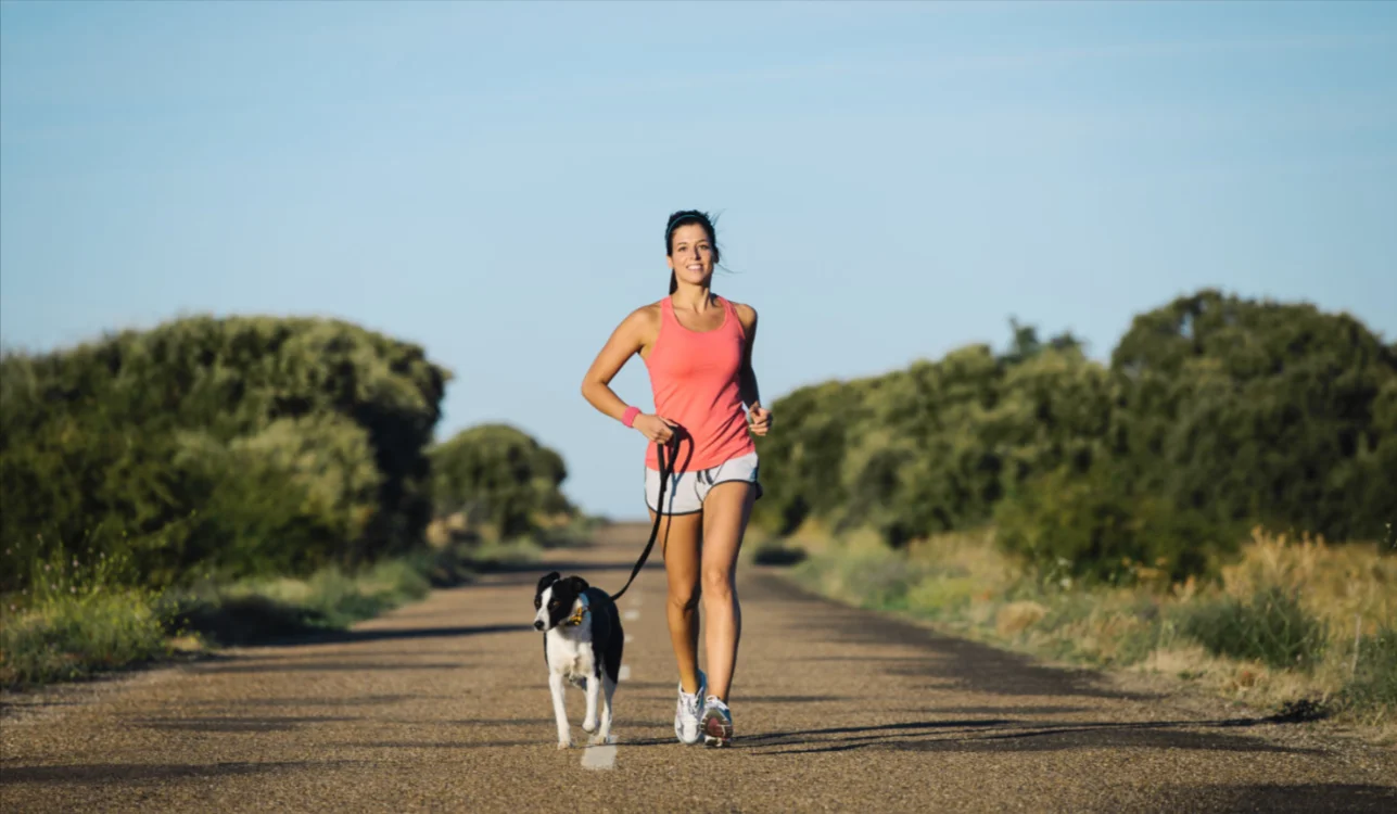 Creating an Exercise Routine That Keeps Your Dog Active and Happy