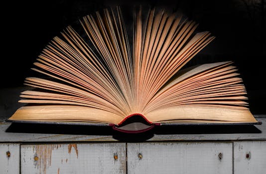 Unpacking ProxyWing: More Than Just a Digital Gateway?