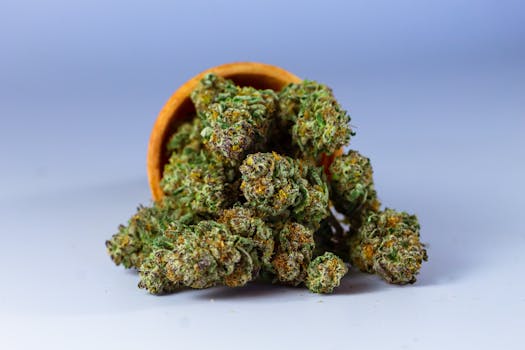 Beyond the Hype: Demystifying Delta 9 THC for the Discerning User