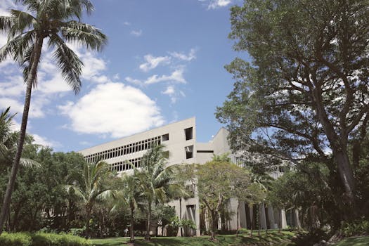 Unraveling the Nuances of Florida Apostille Services: A Deep Dive for the Informed Professional