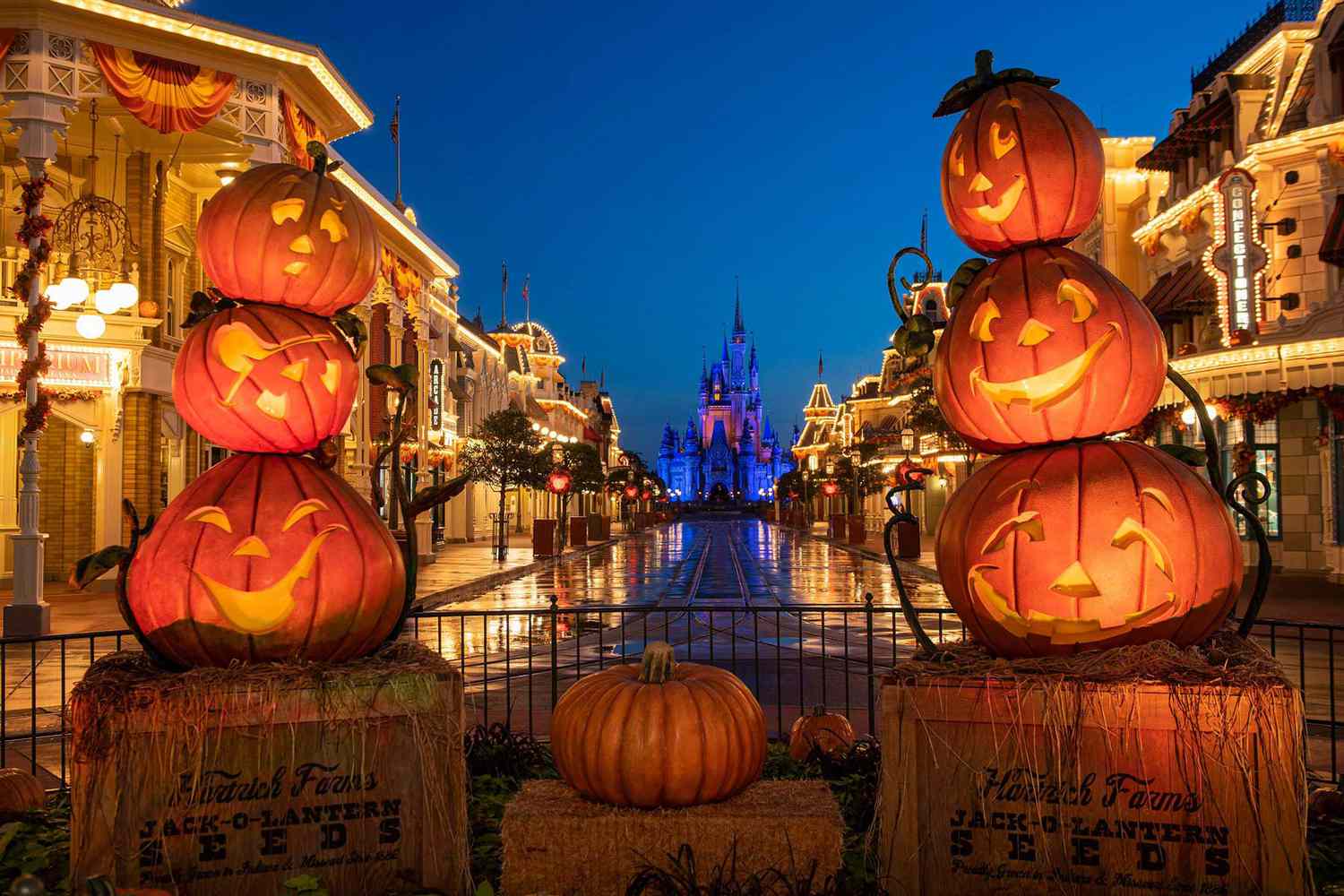 Disney Halloween Decorations : Spooky Magic for Your Home